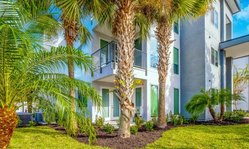 a building with palm trees